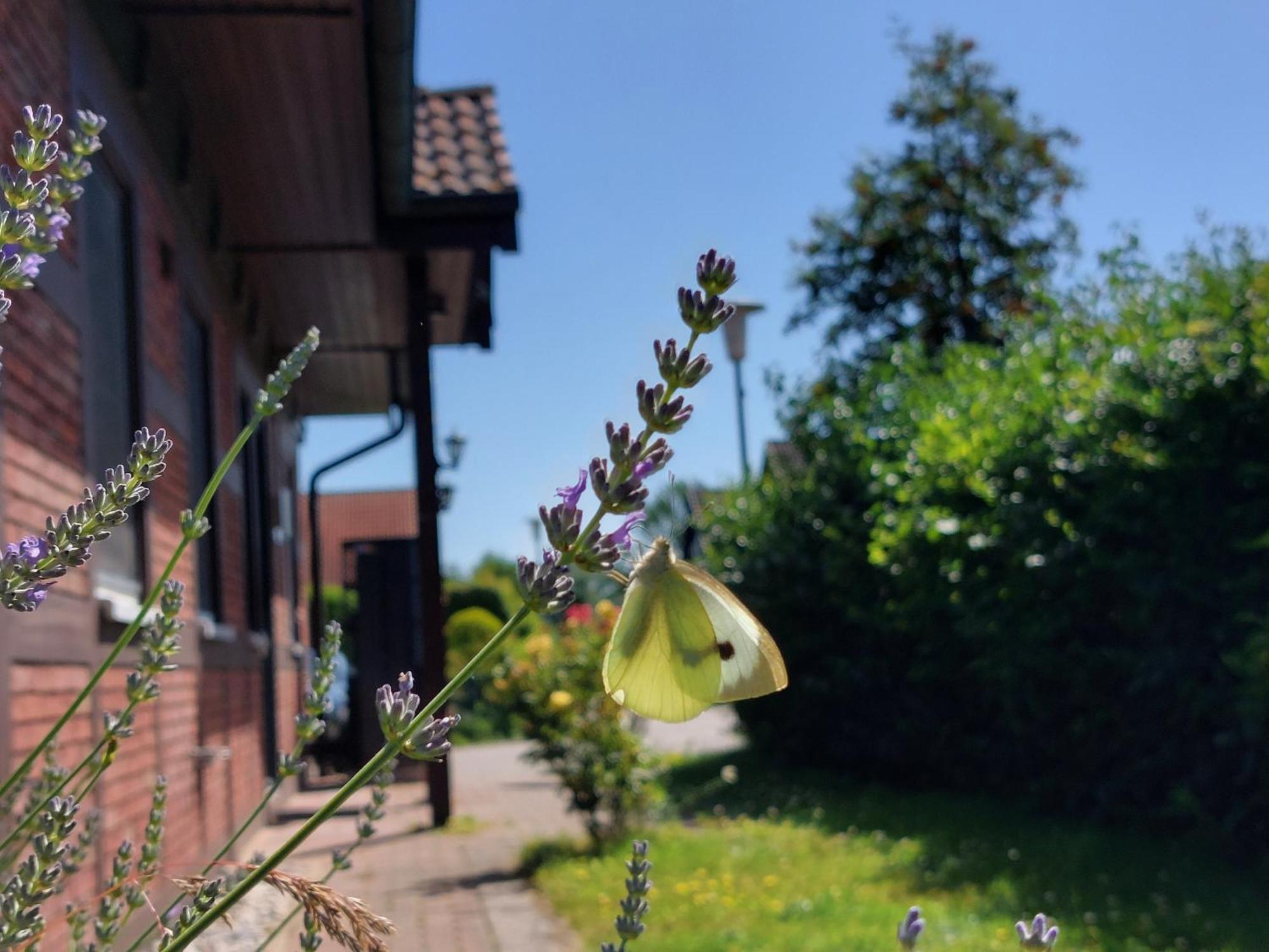 Ferienhaus Sasse Ferienwohnungen Mit Garten & Grill Molschow Exterior foto